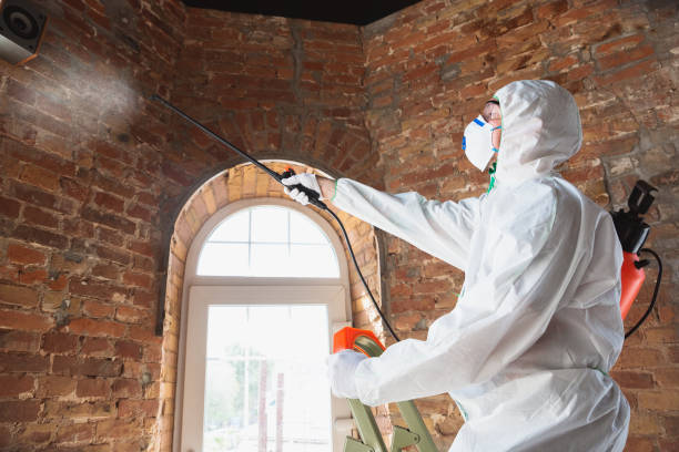 Best Mold Remediation for Healthcare Facilities in Easton, MD